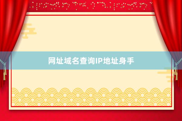 网址域名查询IP地址身手